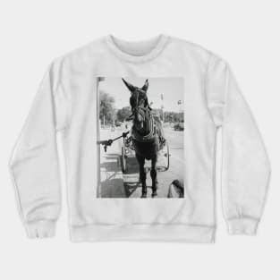 A Mule in New Orleans Crewneck Sweatshirt